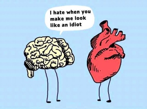 listen to your.....heart or brain ?